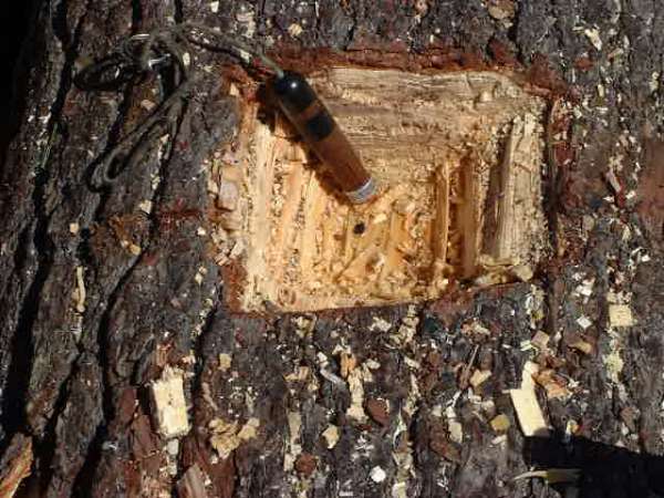 Deep Nail in log2
