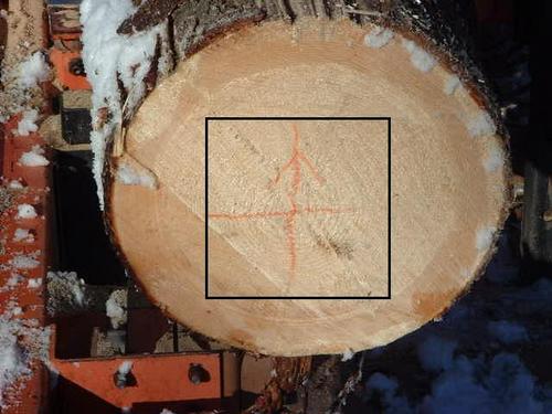 Log with red plus sign and timber outline
