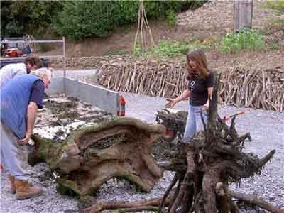 Horses out of driftwood
