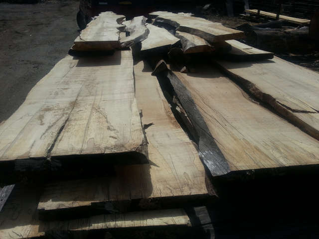 trailer_load_of_maple_planks.JPG